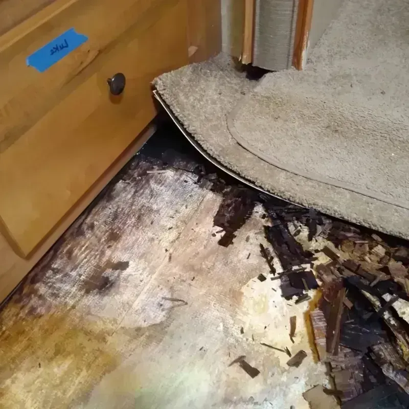 Best Wood Floor Water Damage Service in Peralta, NM